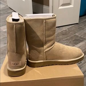 Classic Short Uggs